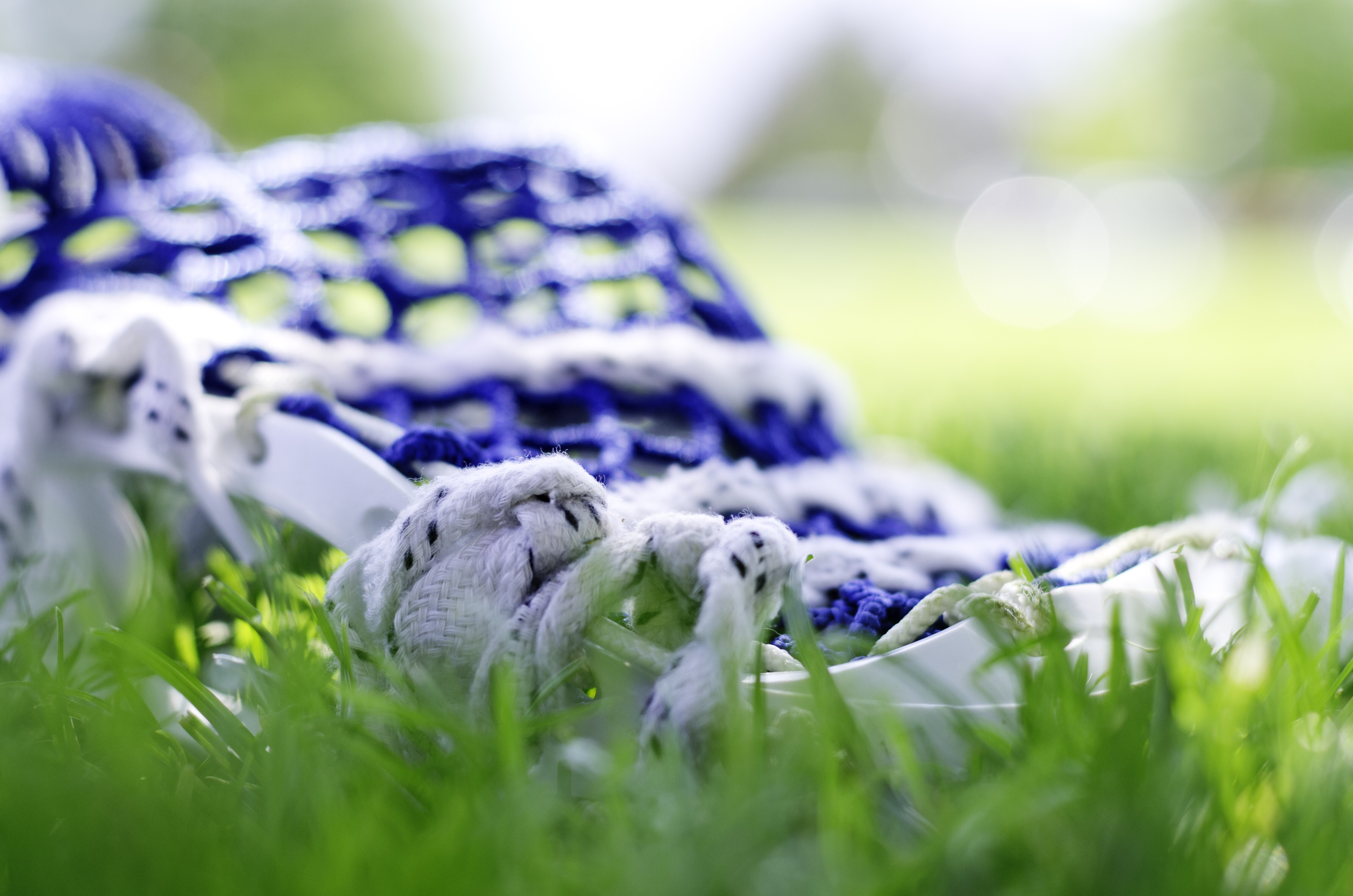 lacrosse-stick-in-the-grass-4MXNN38